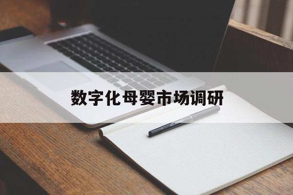 宣城市数字化母婴市场调研(数字化母婴市场调研报告)