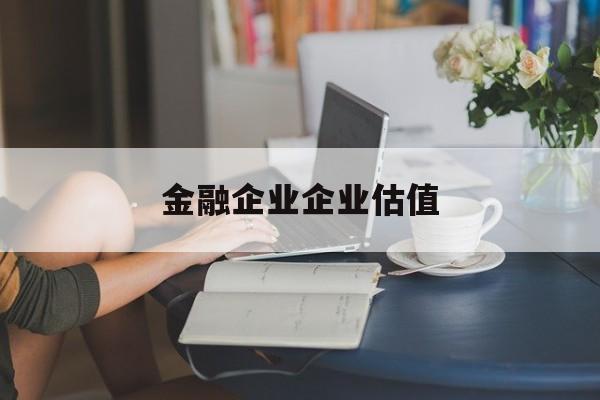 宣城市金融企业企业估值(最新企业估值怎么填)